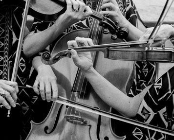 The Ardor Trio The Ardor Trio